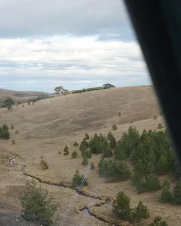 Wild * Zlatibor