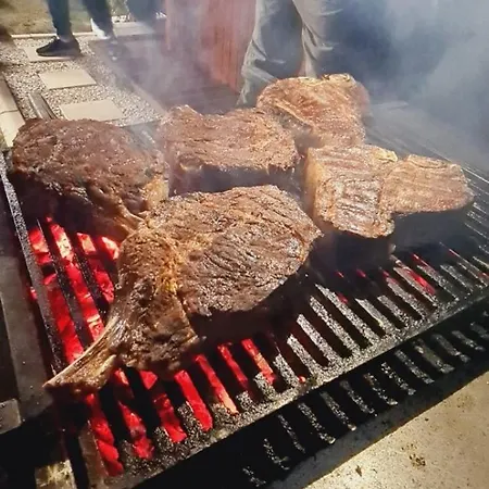 Vila Wild