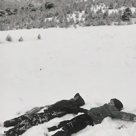Wild Zlatibor