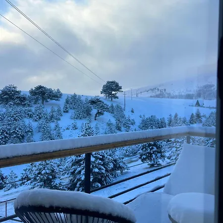 Wild * Zlatibor